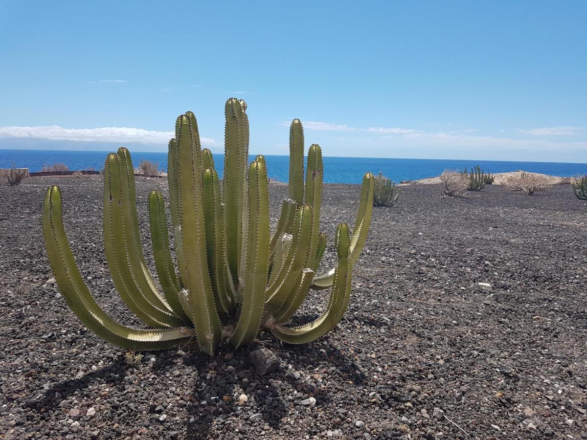 Tenerife Lizards - Duplex In The First Line Callao Salvaje Luaran gambar