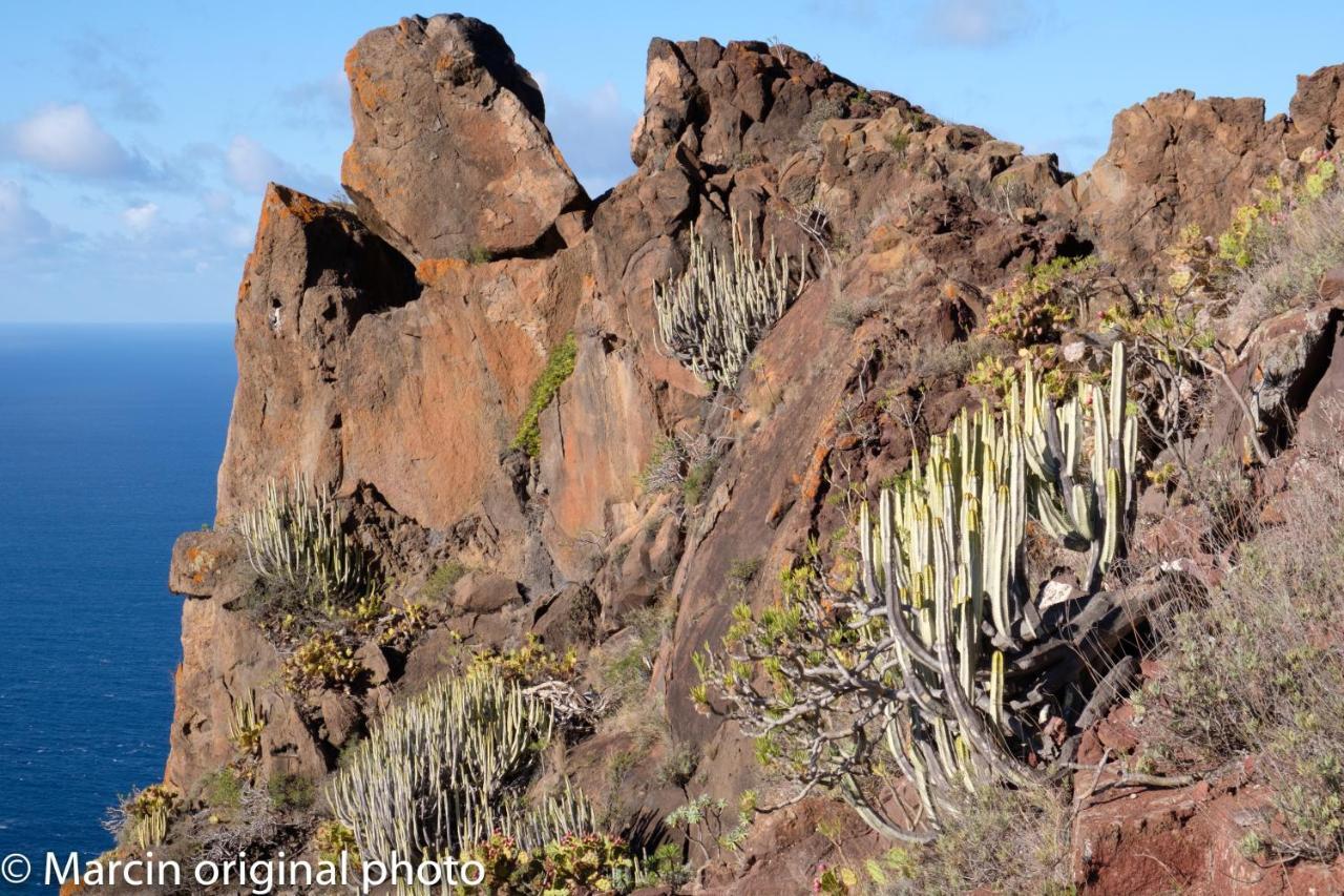 Tenerife Lizards - Duplex In The First Line Callao Salvaje Luaran gambar